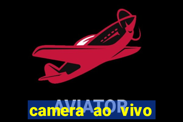 camera ao vivo terminal vila nova cachoeirinha